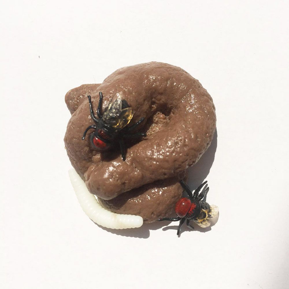Prank Realistic Fake Shit Toys - đánh giá và giá Fake Poop Gag Gift
